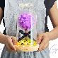 detail image2 LED purple glass dome mood light attractive color
