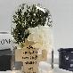 detail image1 LED horse imprinted cross flower mood lamp interlayer accessories