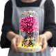 detail image2 LED Couple Blossom Glass Dome Mood Light Pure Love