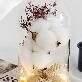 detail image1 LED Cotton Glass Dome Mood Lamp Cozy Cotton Light