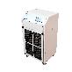 full image Negative Pressure Air Cleaning Machine