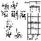 detail image2 Alarm valve(Flange,Groove 2Types)