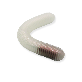 full image Fishing Lure Softbait Calyce 3.9inch