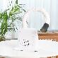 detail image2 DUZ Premium Hand Free Dryer for Pet (iMD-1000TPro)