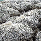 detail image3 IAN FIBER STONE MESH