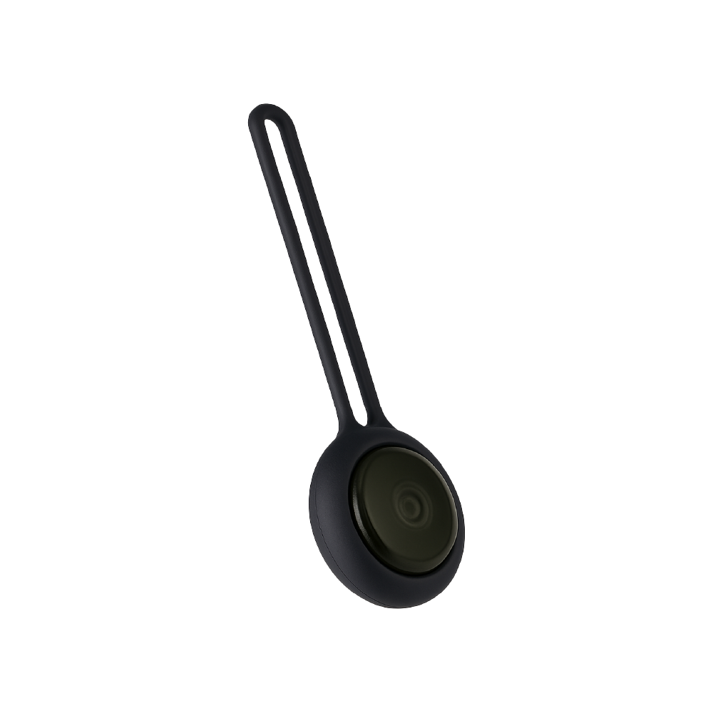 Bremen Pet-Tag :  BLE-based smart tracking
