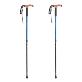 detail image1 Francisco F1 Twin walking stick