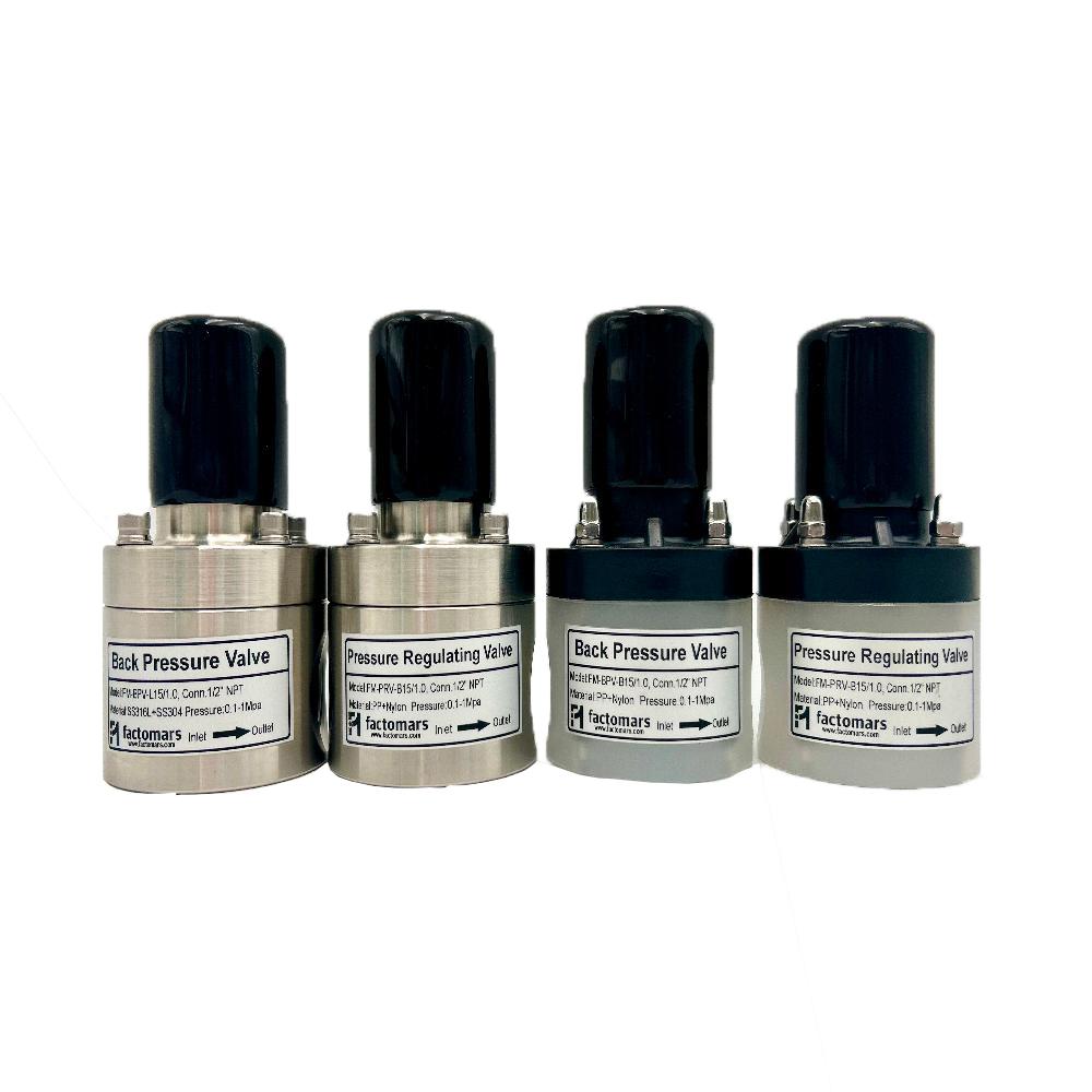 Back Pressure Valve