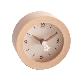 detail image2 Su flower silent clock