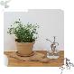 detail image1 Freefactory Flower Plant Pot with Drainage Holes and Saucer Tray(Small/Moss Green)