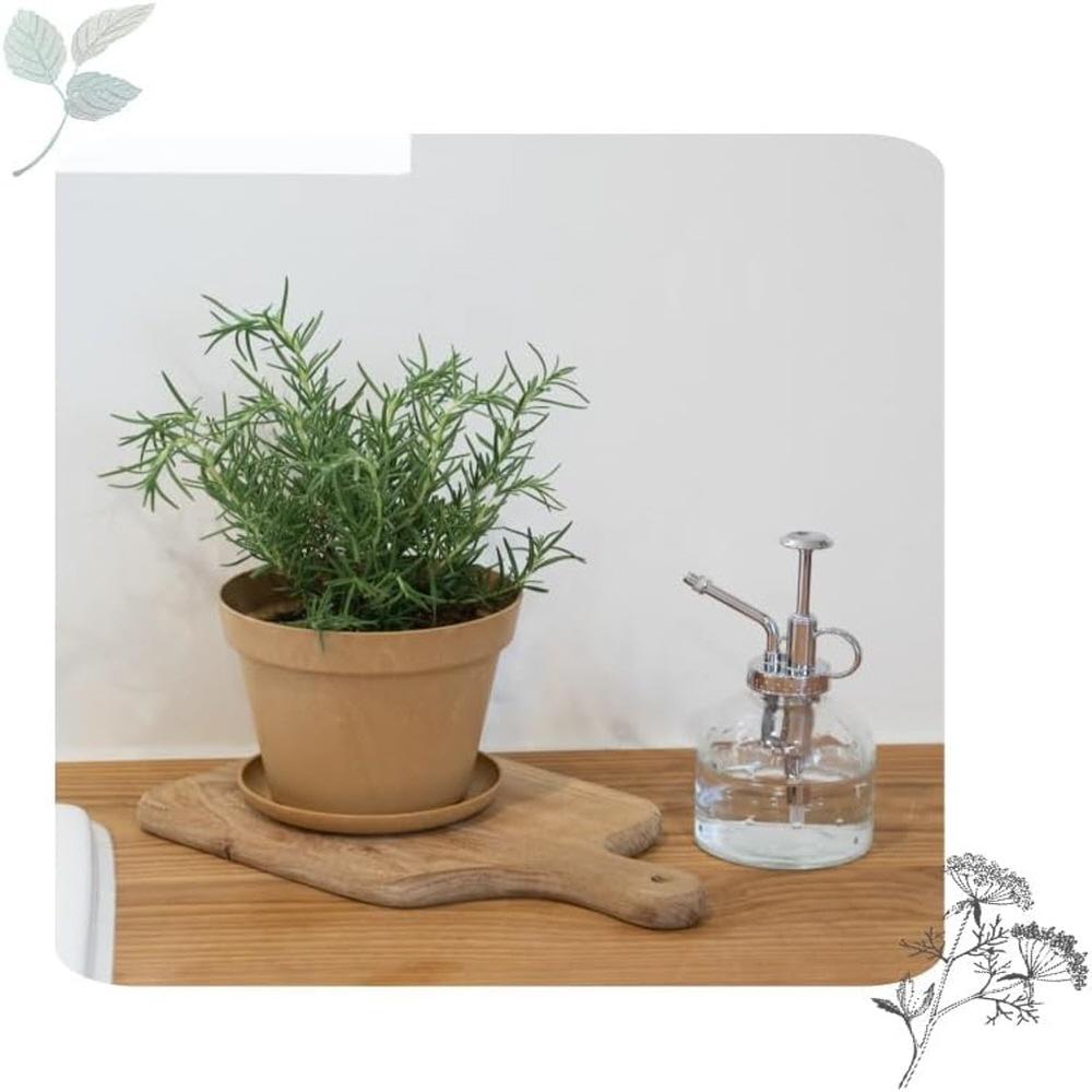 Freefactory Flower Plant Pot with Drainage Holes and Saucer Tray(Small/Moss Green)