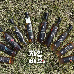 detail image2 Actinidia polygama fermented vinegar