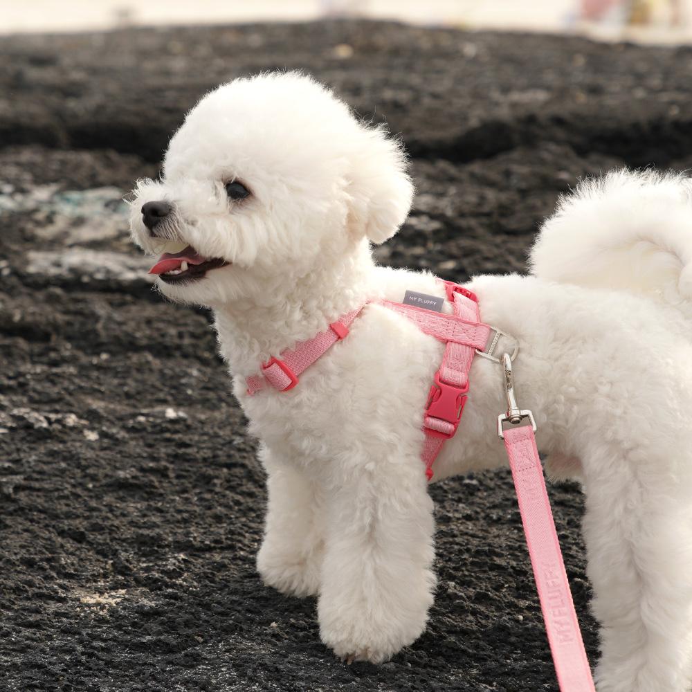 Fit Band Harness