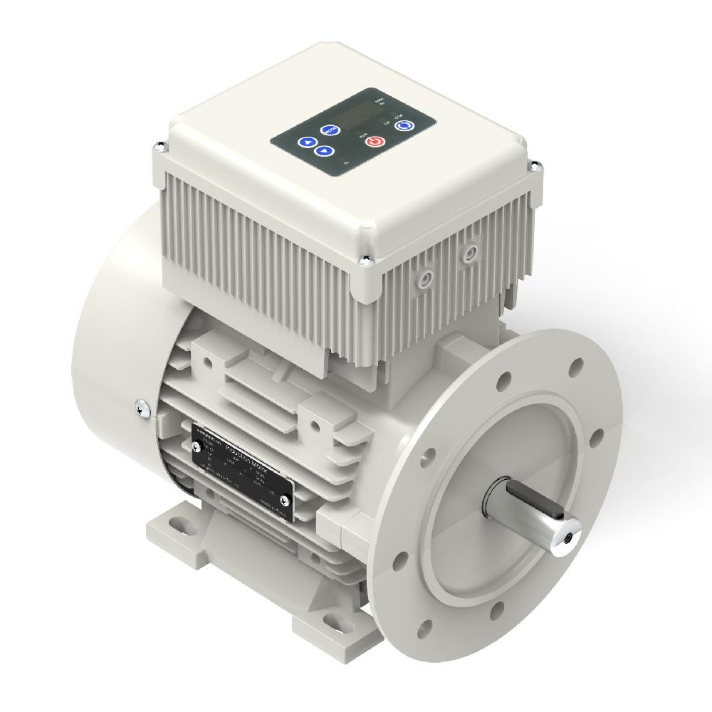 Inverter Motor