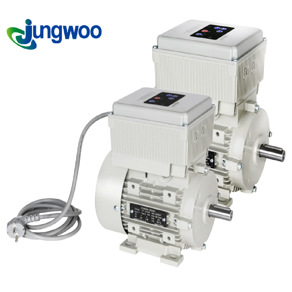 Inverter Motor