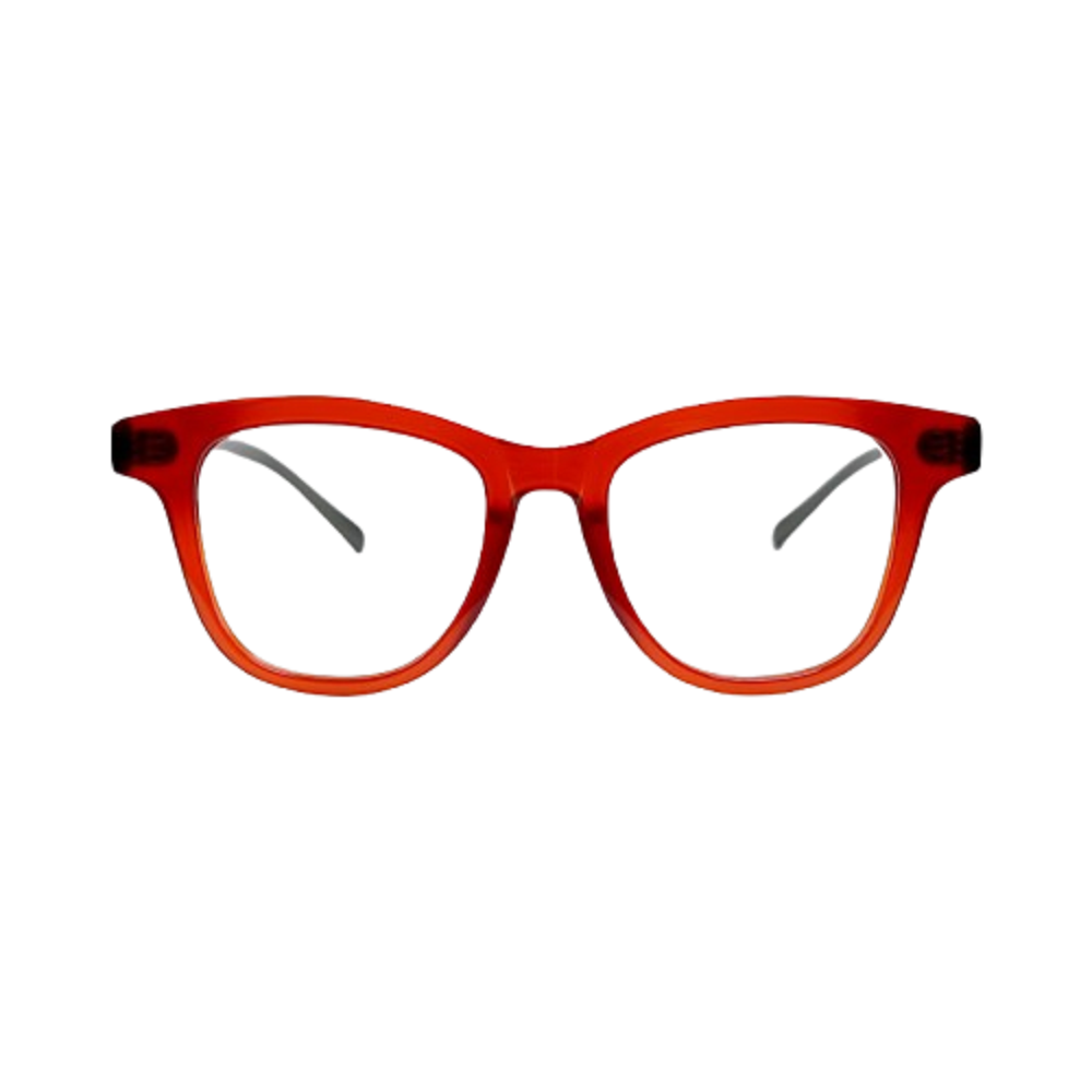 GLASSES/SUNGLASSES