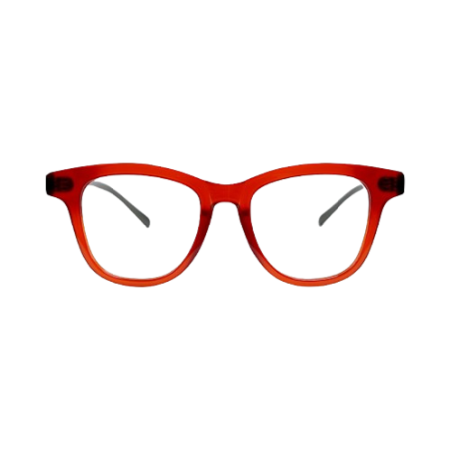 GLASSES/SUNGLASSES