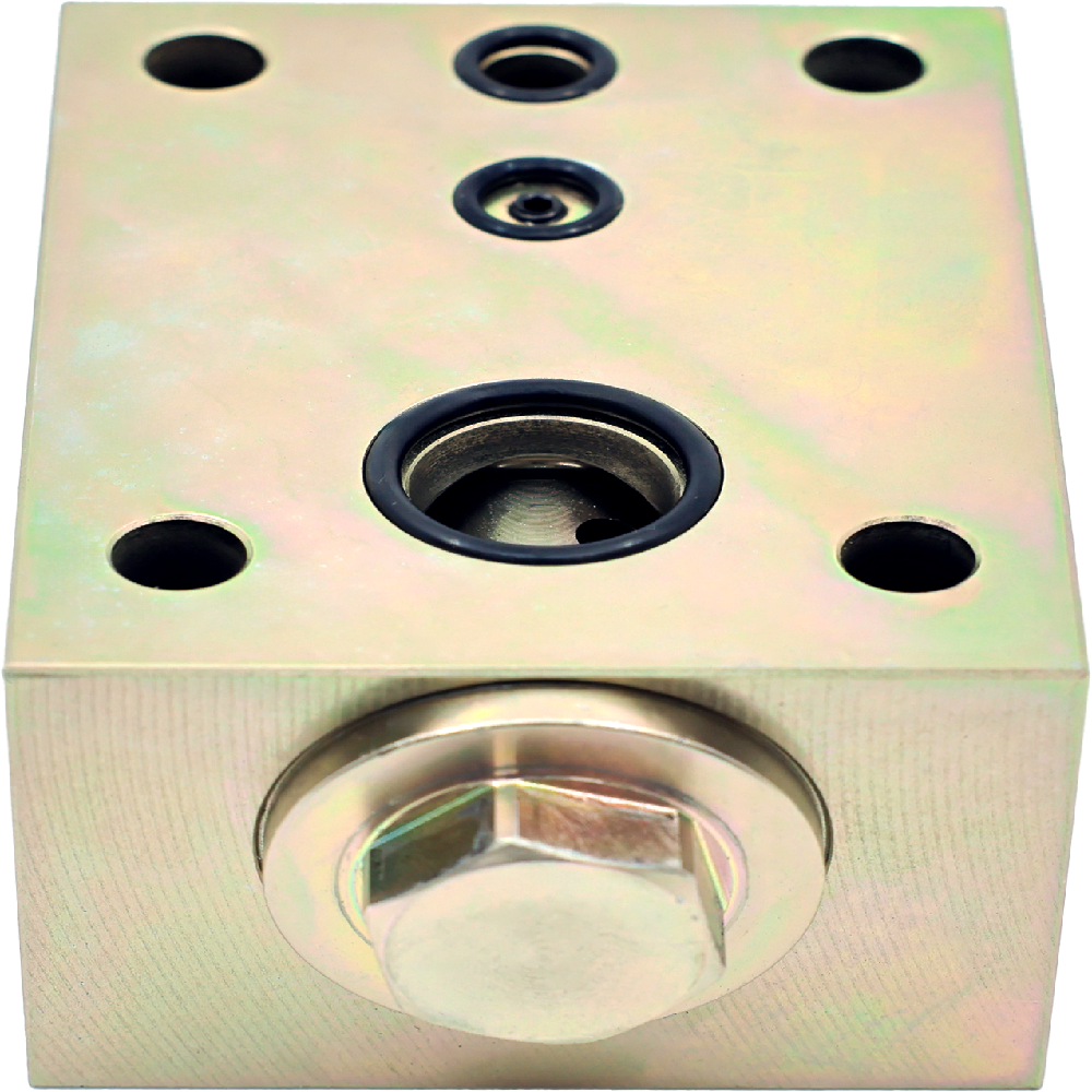 Check Valve