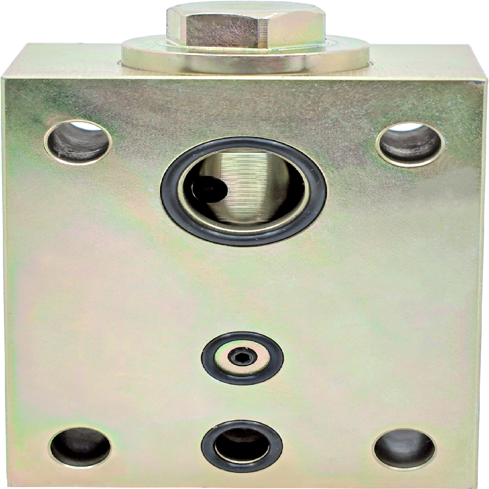 Check Valve