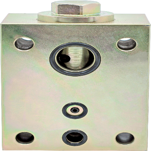Check Valve