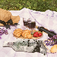detail image3 Reusable wine travel bags