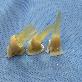 detail image4 Dental Prosthetic Materials EZ-CERA Hybrid