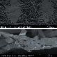 detail image3 PP & BICOMPONENT STAPLE FIBER