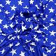 detail image2 Nylon PolySpandex Fabric, Swimwear, Activewear,sportswear, yogawear,4-Way Stretch