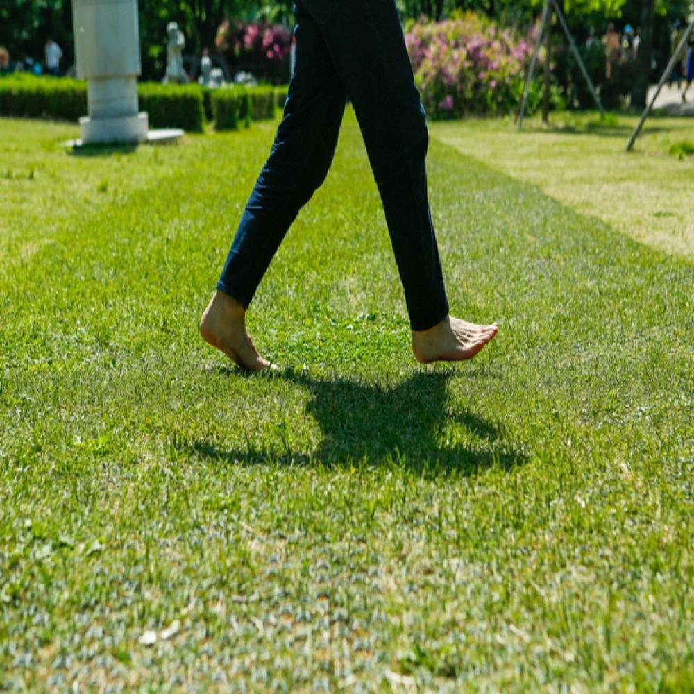 Lawn protection mat